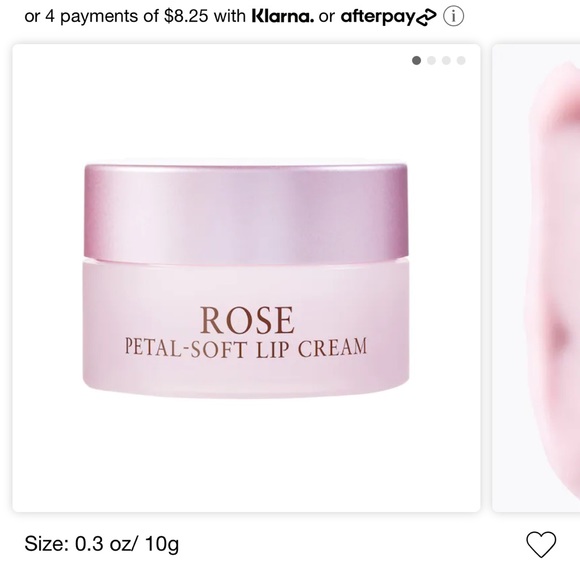 FRESH - Picture 4 of 9